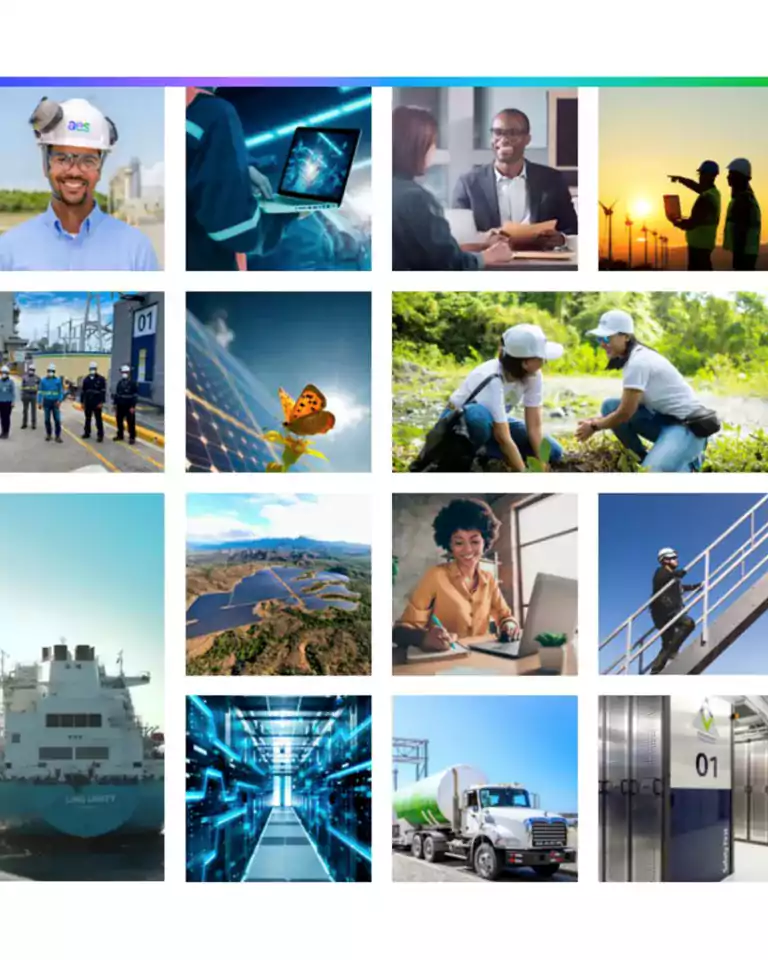 sustainabilityreportgraphic